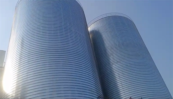 玉山2座混凝土高架卷板仓